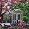 Chapel Hill photo